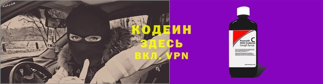 хмурый Касимов