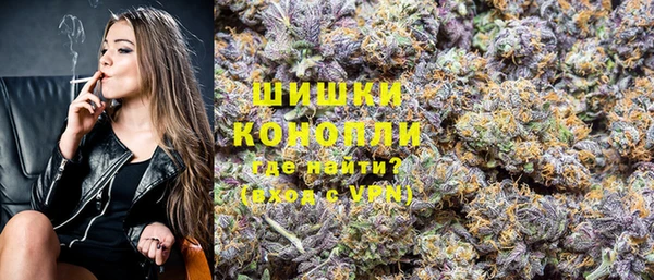 хмурый Касимов