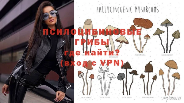 кокаин премиум Карпинск