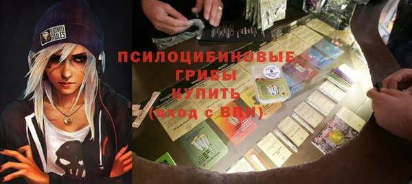 хмурый Касимов