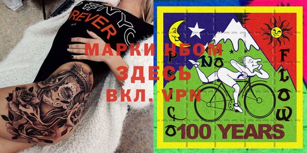 хмурый Касимов