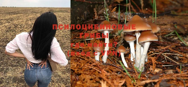 кокаин премиум Карпинск