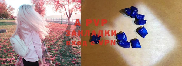 хмурый Касимов