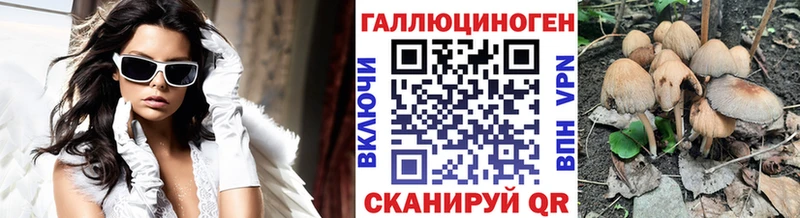 Псилоцибиновые грибы Psilocybine cubensis  что такое наркотик  Краснодар 
