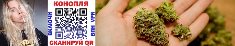 mega вход  Краснодар  Конопля LSD WEED  даркнет сайт 